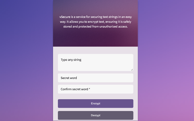 vSecure截图1