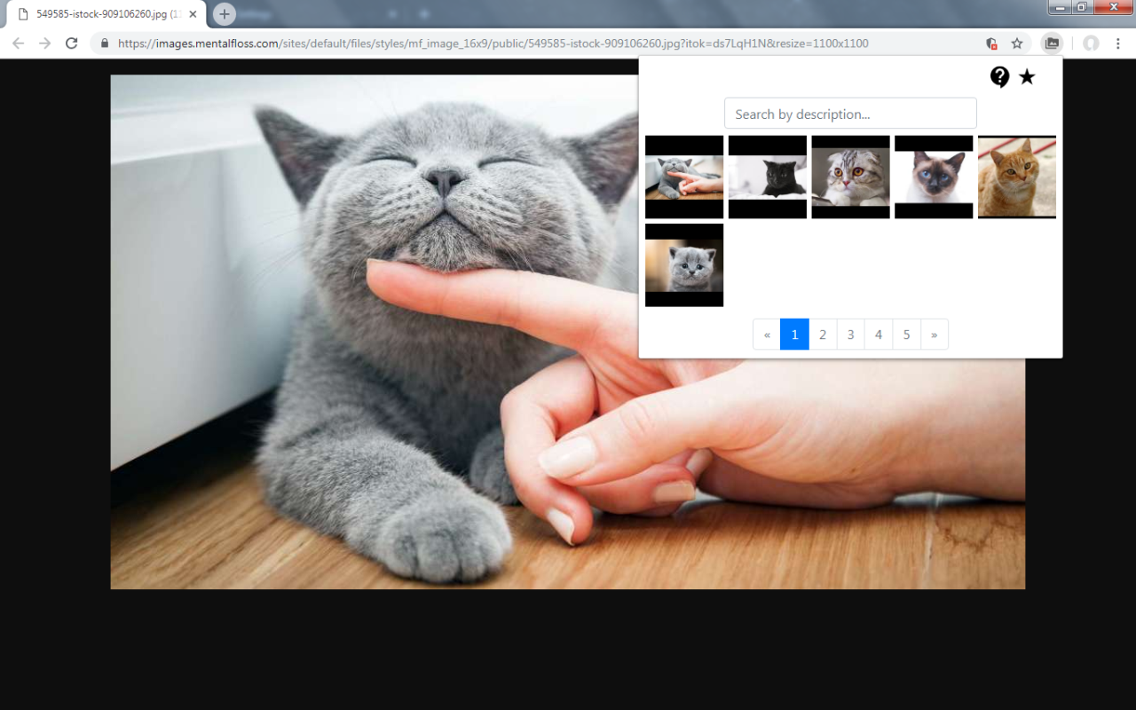 Image gallery截图4