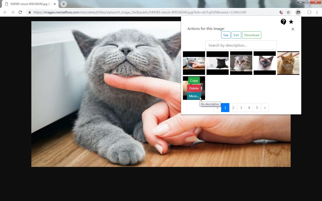 Image gallery截图5