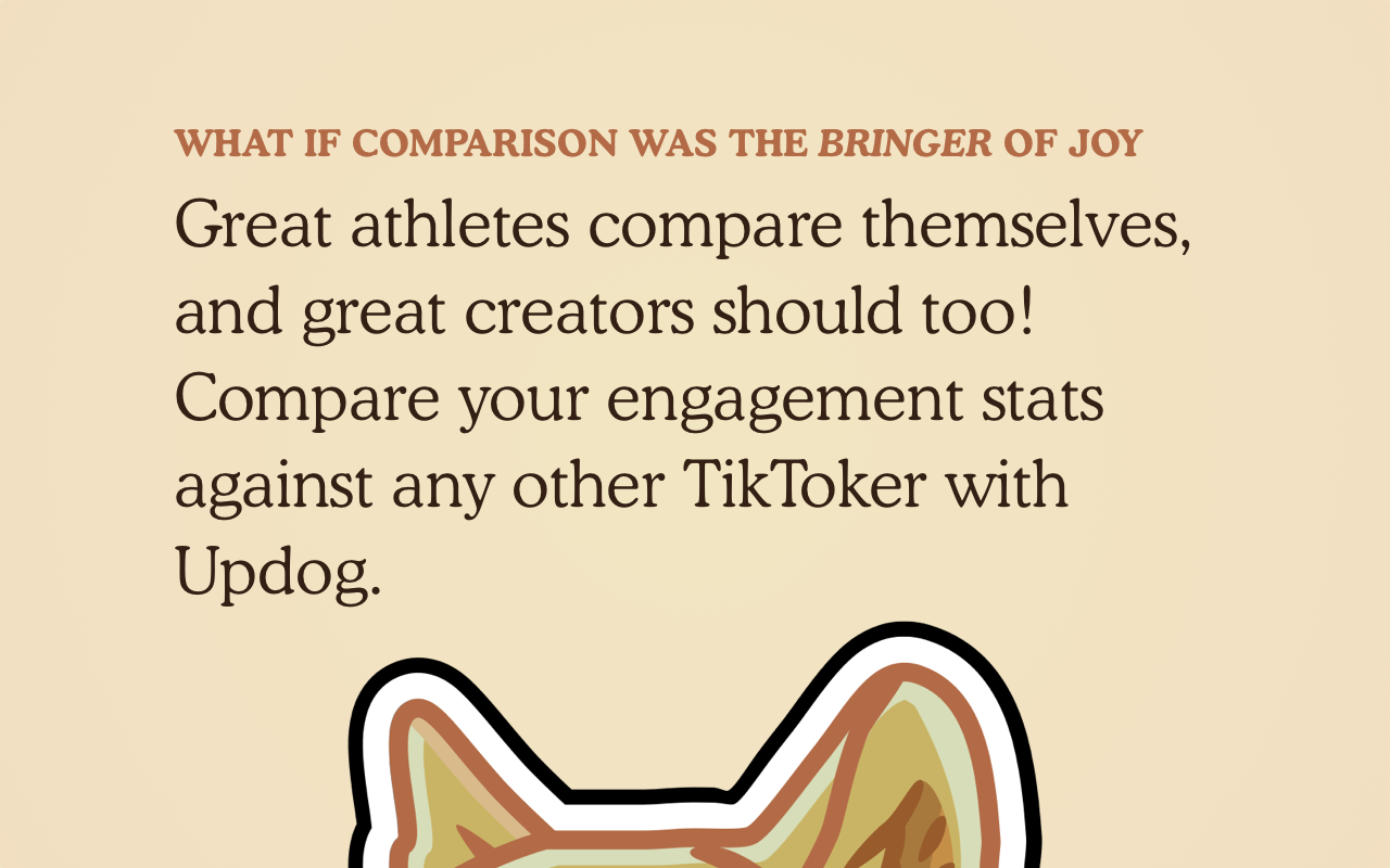 UpDog TikTok & Instagram Engagement Analytics截图1