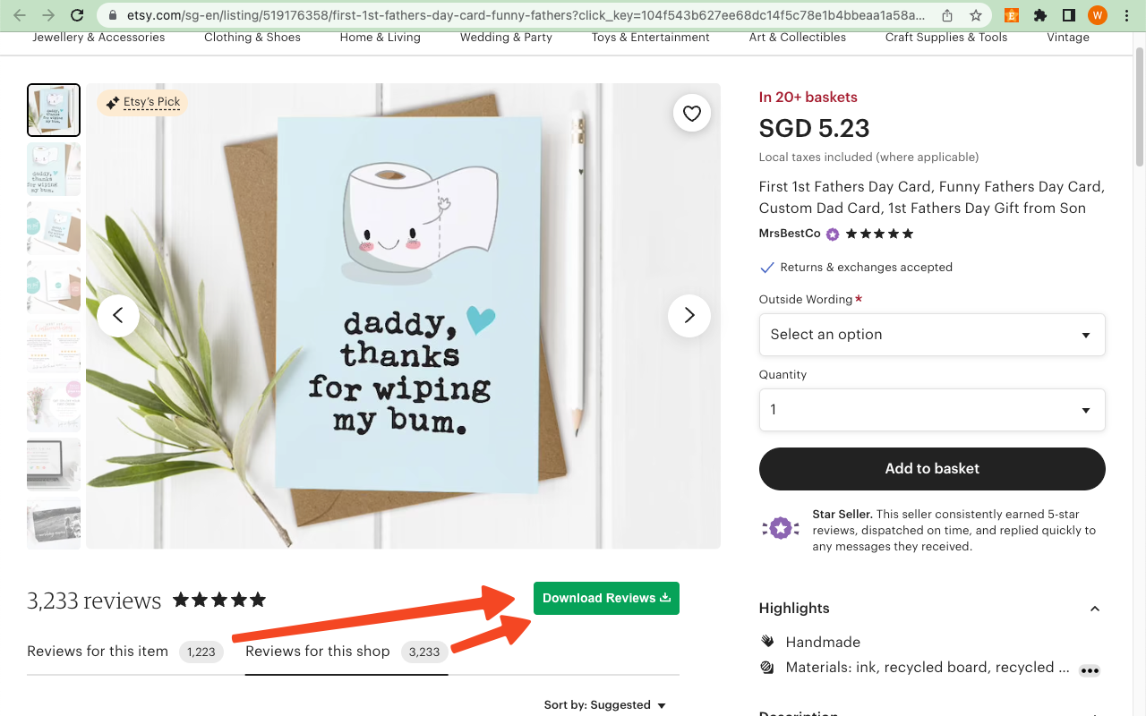 Etsy评论提取工具截图2