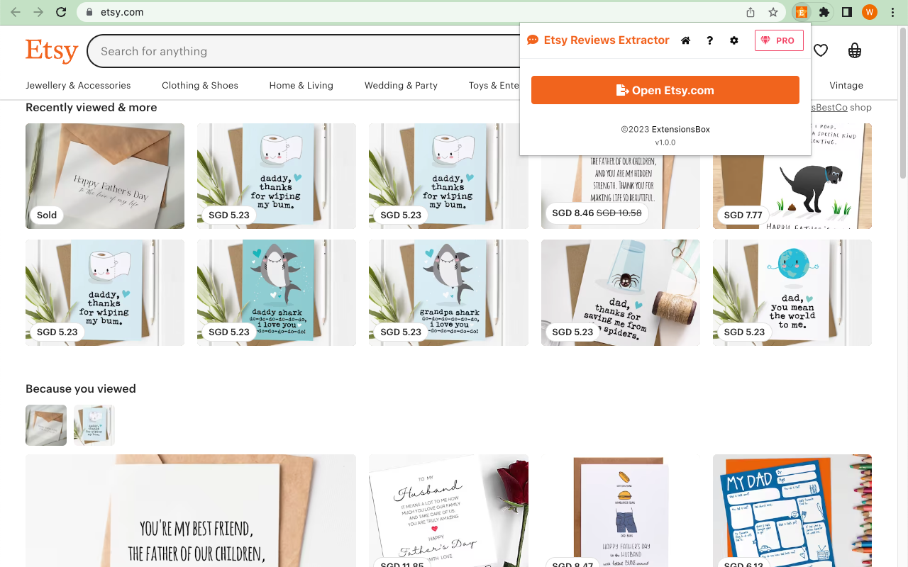 Etsy评论提取工具截图4