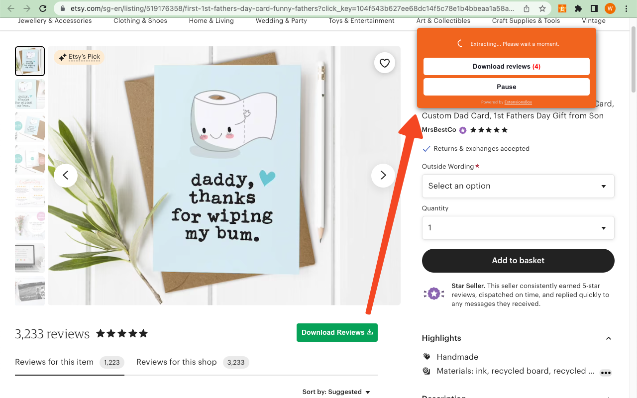Etsy评论提取工具截图5
