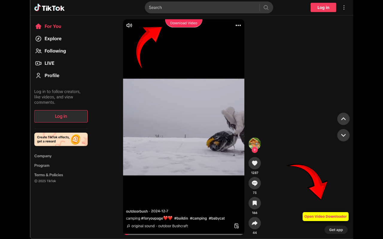 Easy TikTok Video Downloader (Remove Watermark)截图5