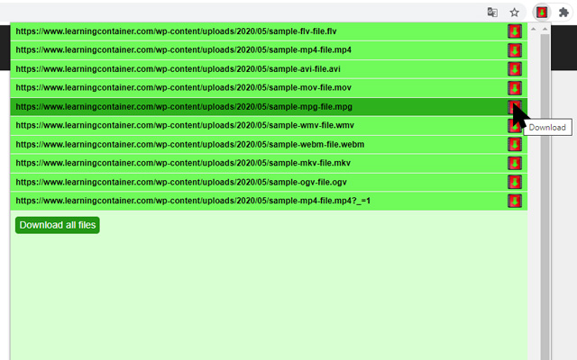 Flash Video Downloader截图1