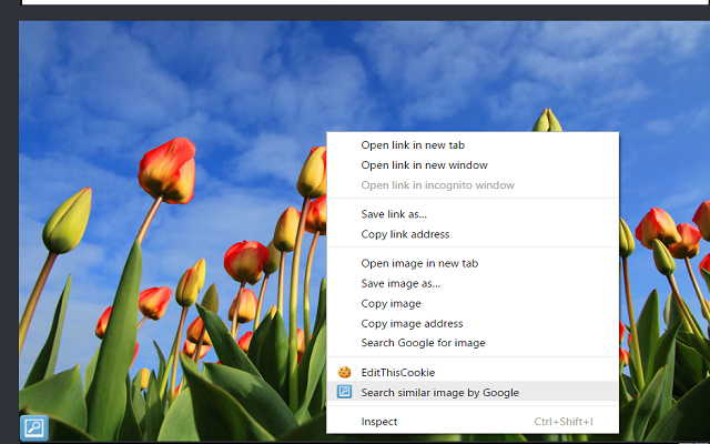 Image Searcher截图1