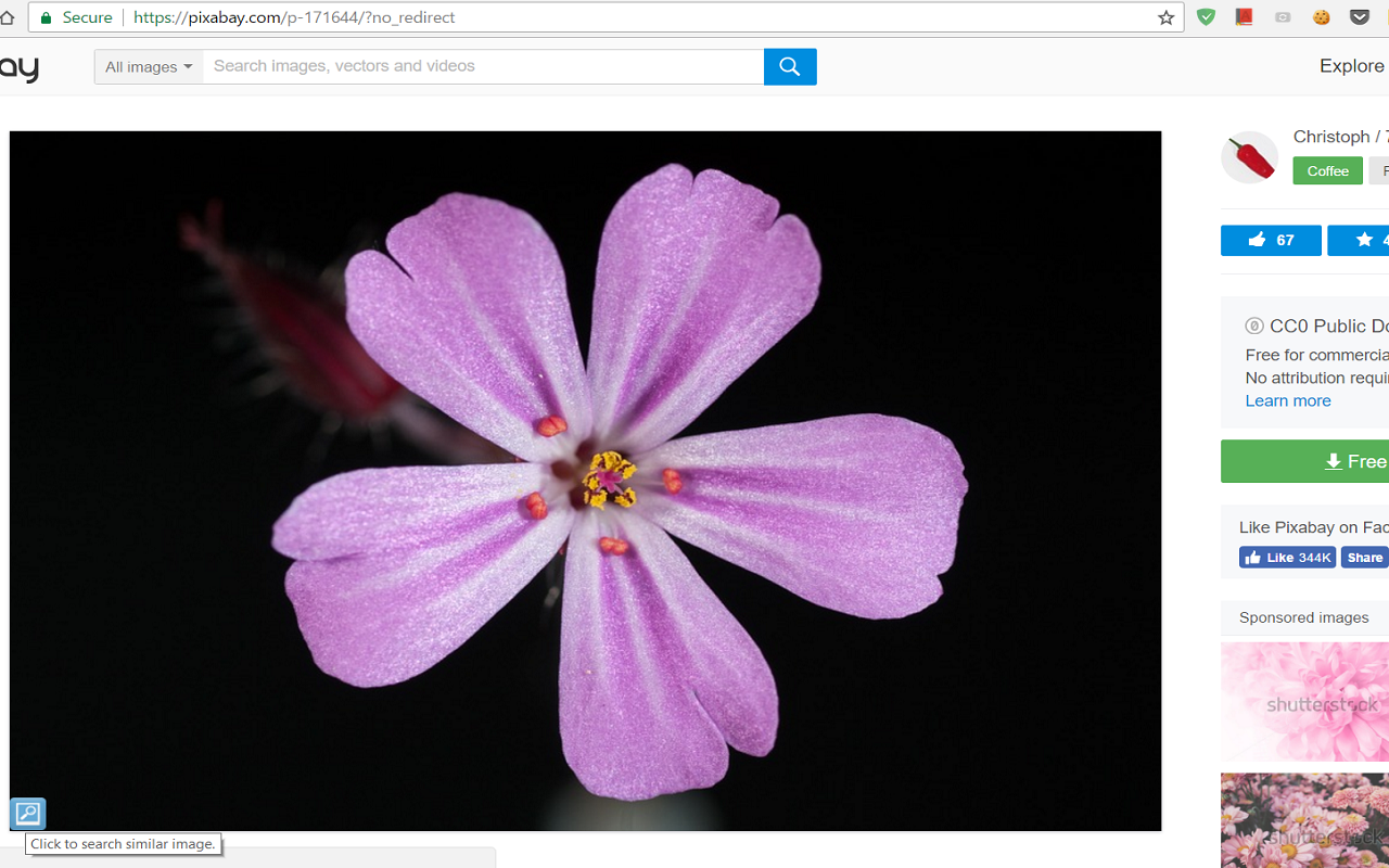 Image Searcher截图3