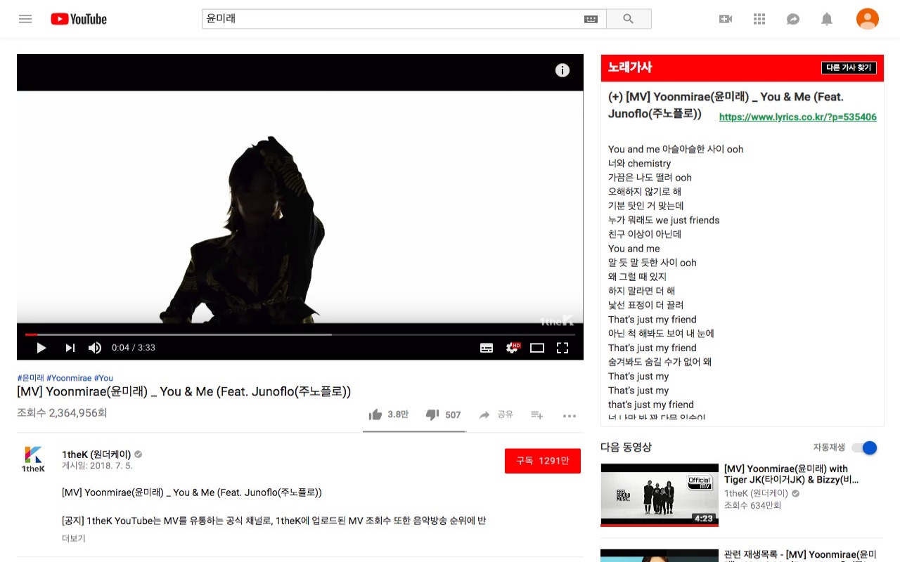 Lyrics ( Youtube / Youtube Music )截图3