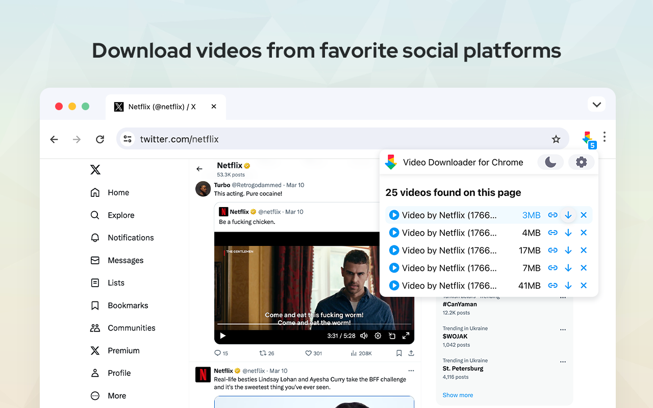 Video Downloader截图3