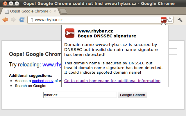 DNSSEC Validator截图3