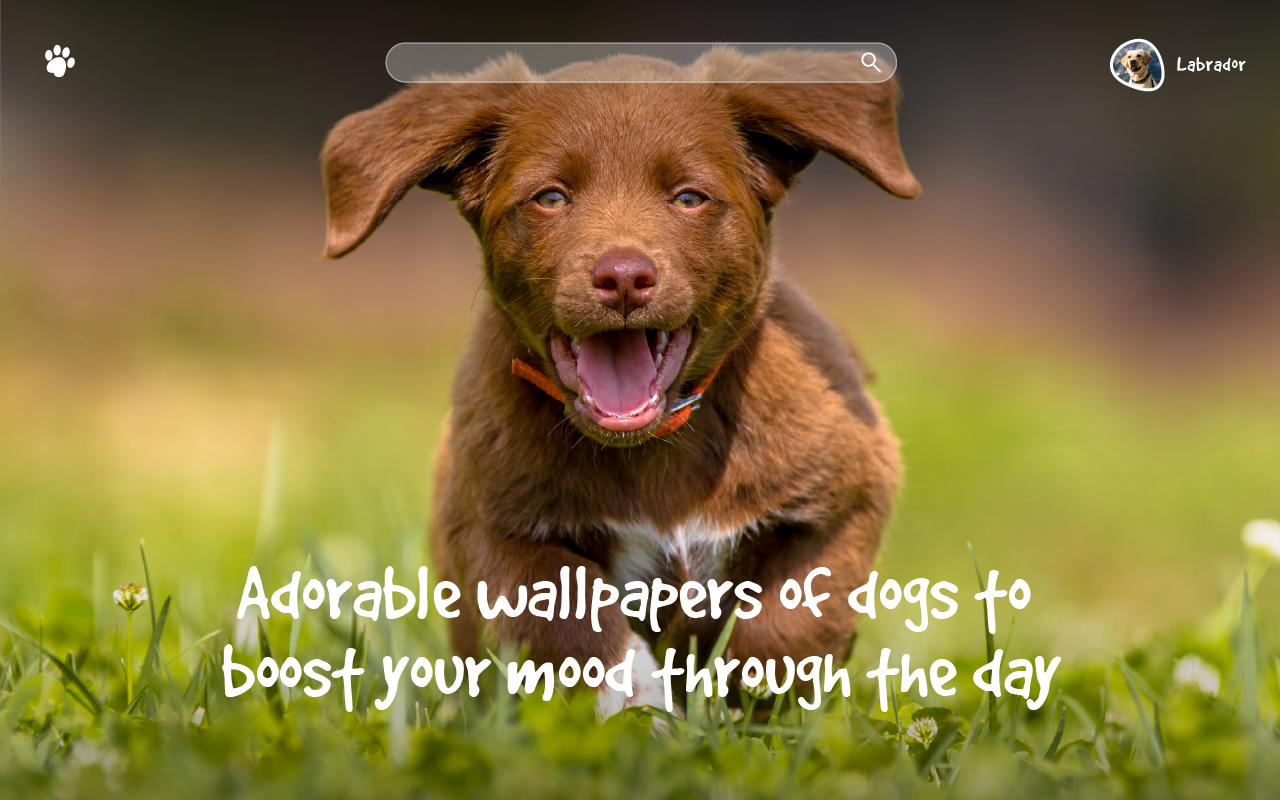 Wallpaper Dogs & Puppies New Tab截图2