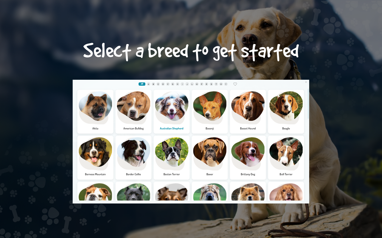 Wallpaper Dogs & Puppies New Tab截图4