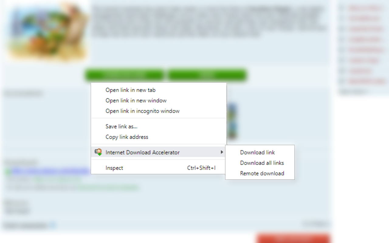 Internet Download Accelerator截图2