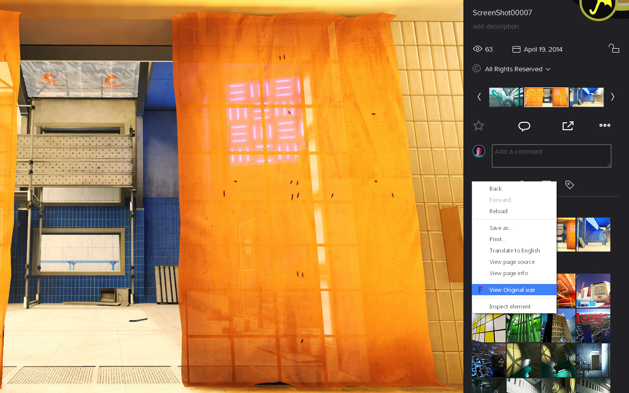 OG Flickr截图2