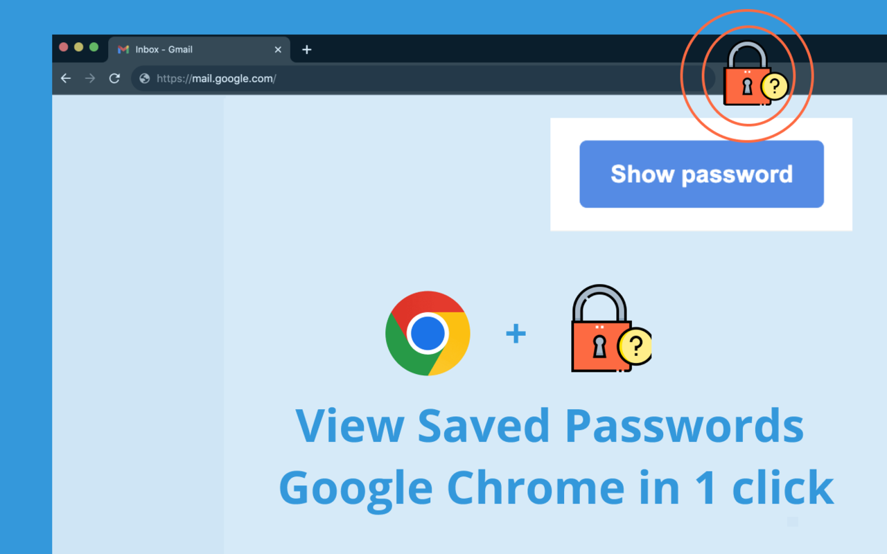 保存的密码截图2