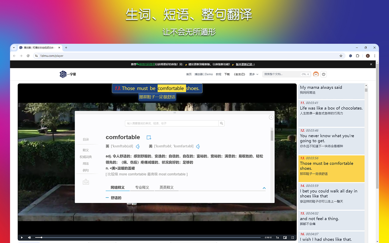 一字幕 - 视频双语字幕插件 | 免费截图3