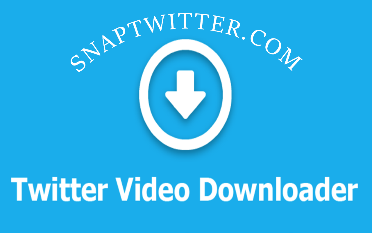 SnapTwitter: Twitter Video Download截图1