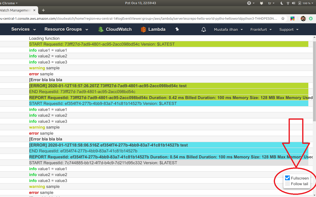 Colorize AWS CloudWatch Logs截图1