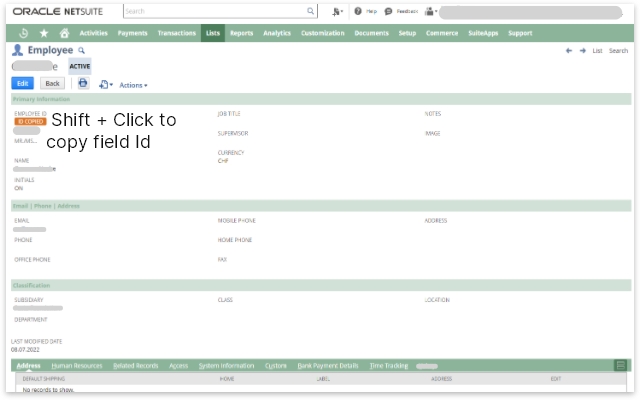 Show Netsuite Field IDs截图2