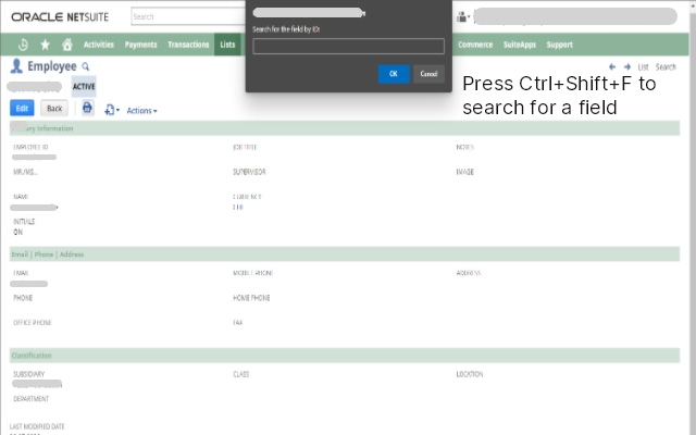 Show Netsuite Field IDs截图3