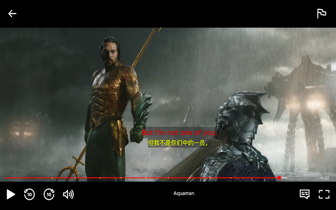 Netflix 双语字幕 - 字幕翻译器截图1