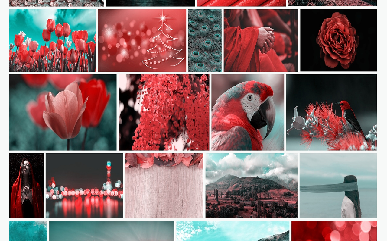 Colorblindly截图1