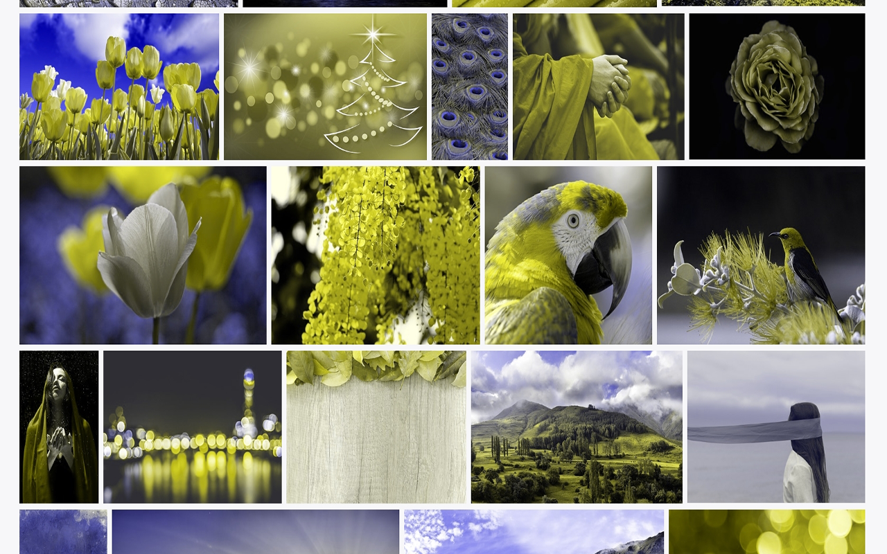 Colorblindly截图2