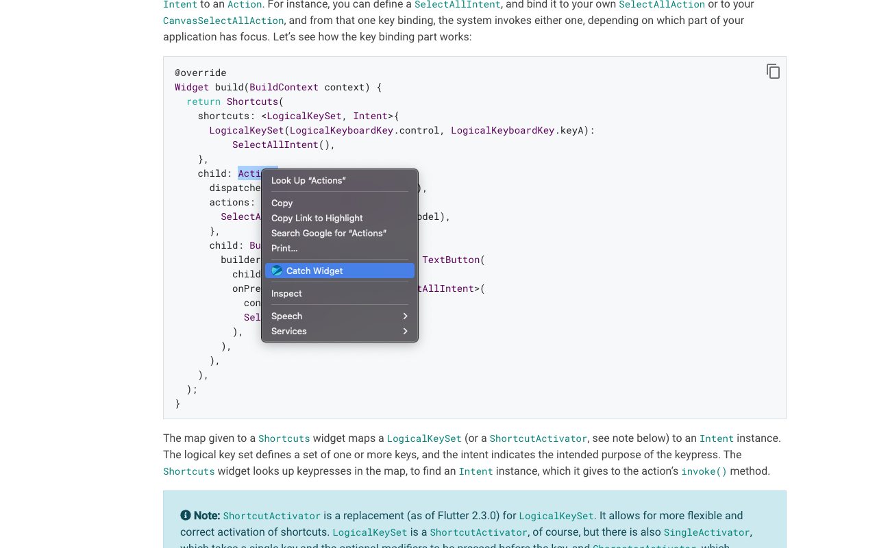 Flutter Widget Catcher截图1