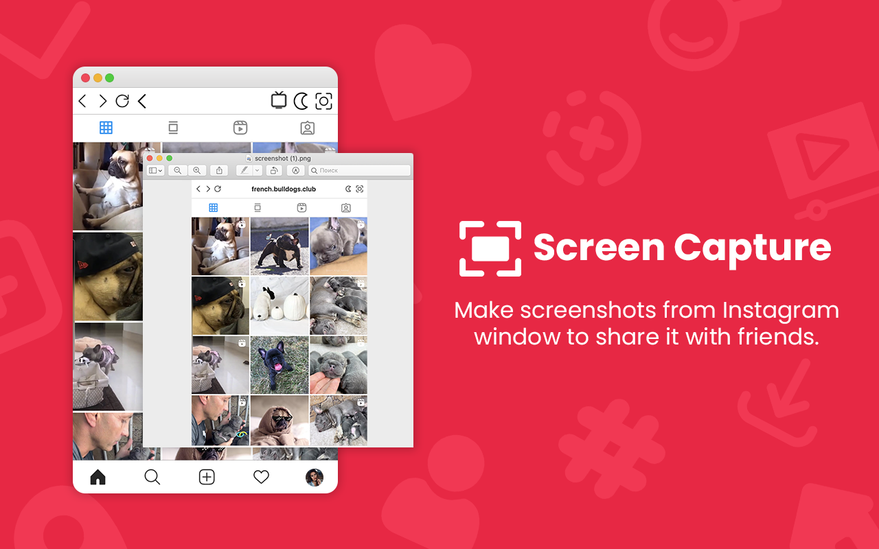 InSaverify | Web for Instagram截图2