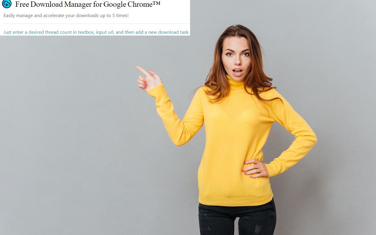 Google Chrome的免费下载管理器。截图1