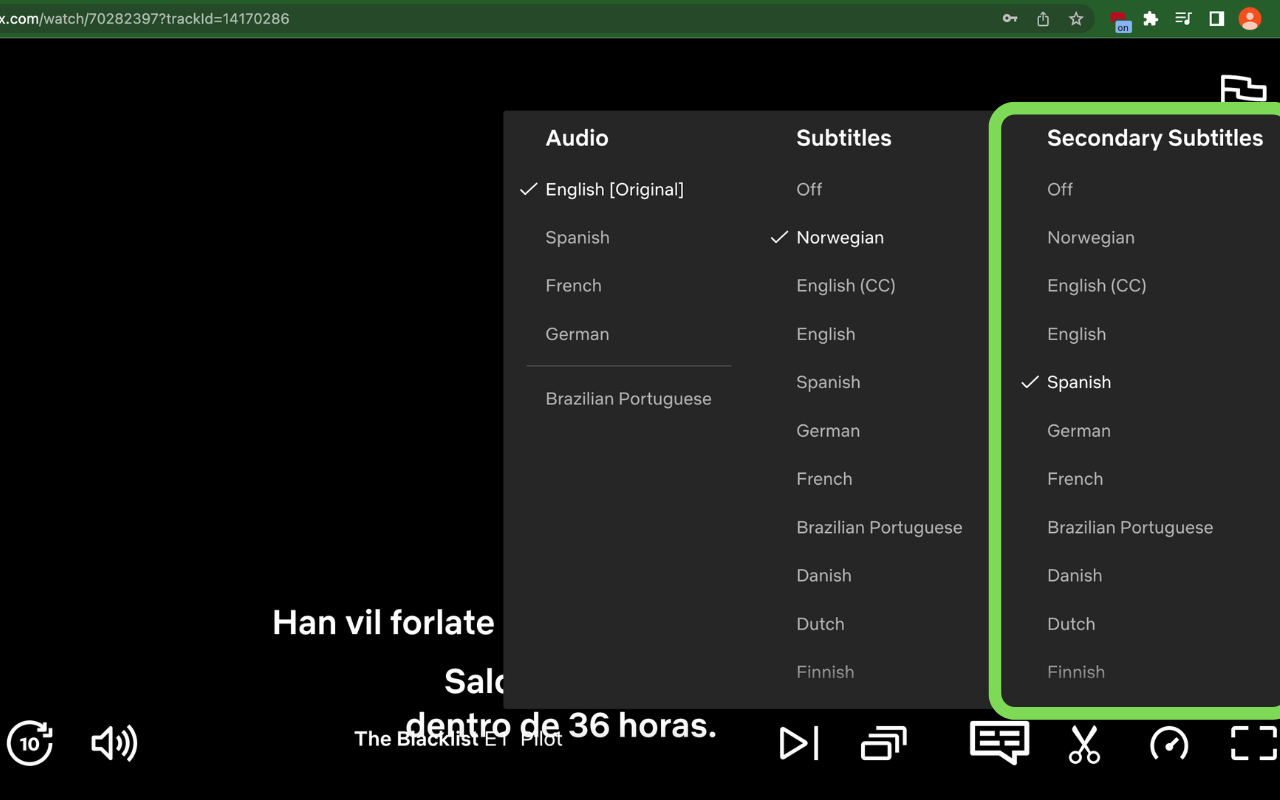 Netflix Multi-Subtitles 2.0截图2