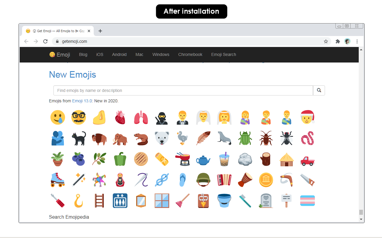 Twemoji for Chrome截图3