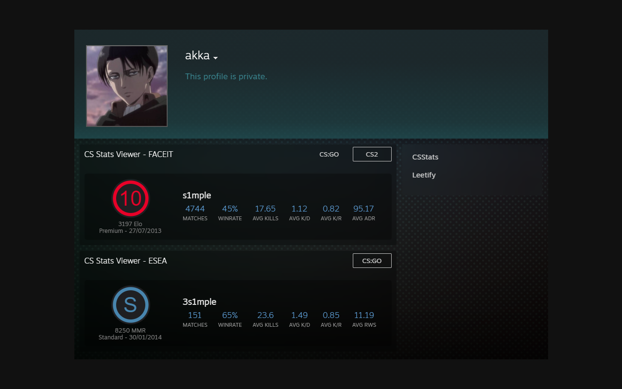 CS Stats Viewer截图4