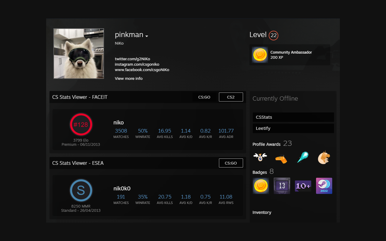 CS Stats Viewer截图5