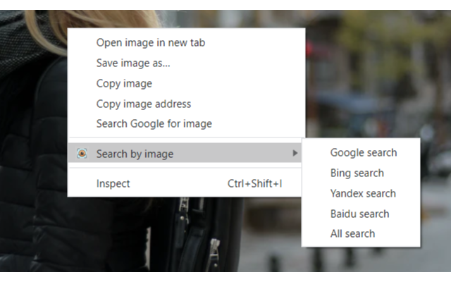 Reverse Image Search截图1
