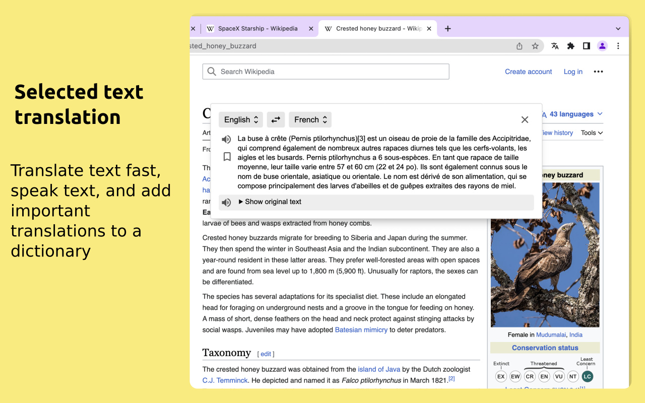 Linguist - web page translator截图3