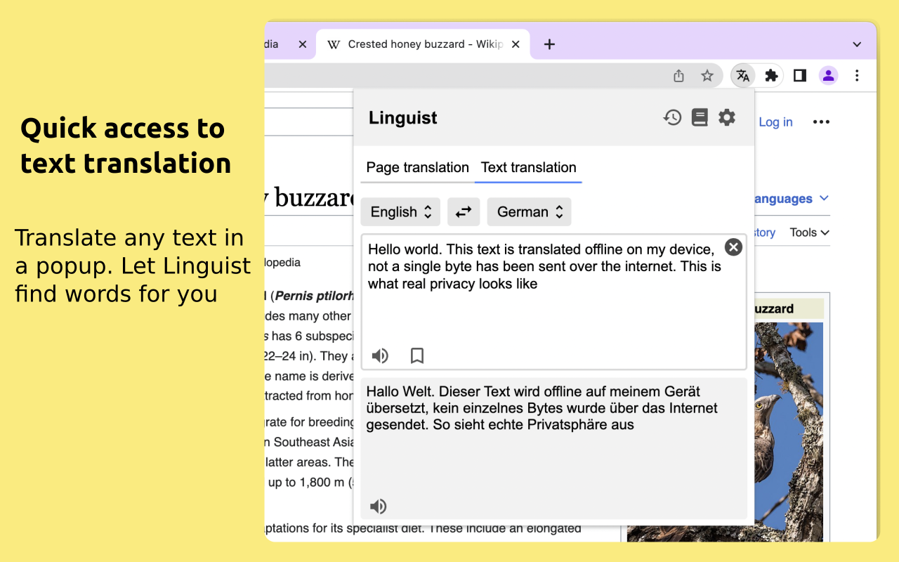 Linguist - web page translator截图5