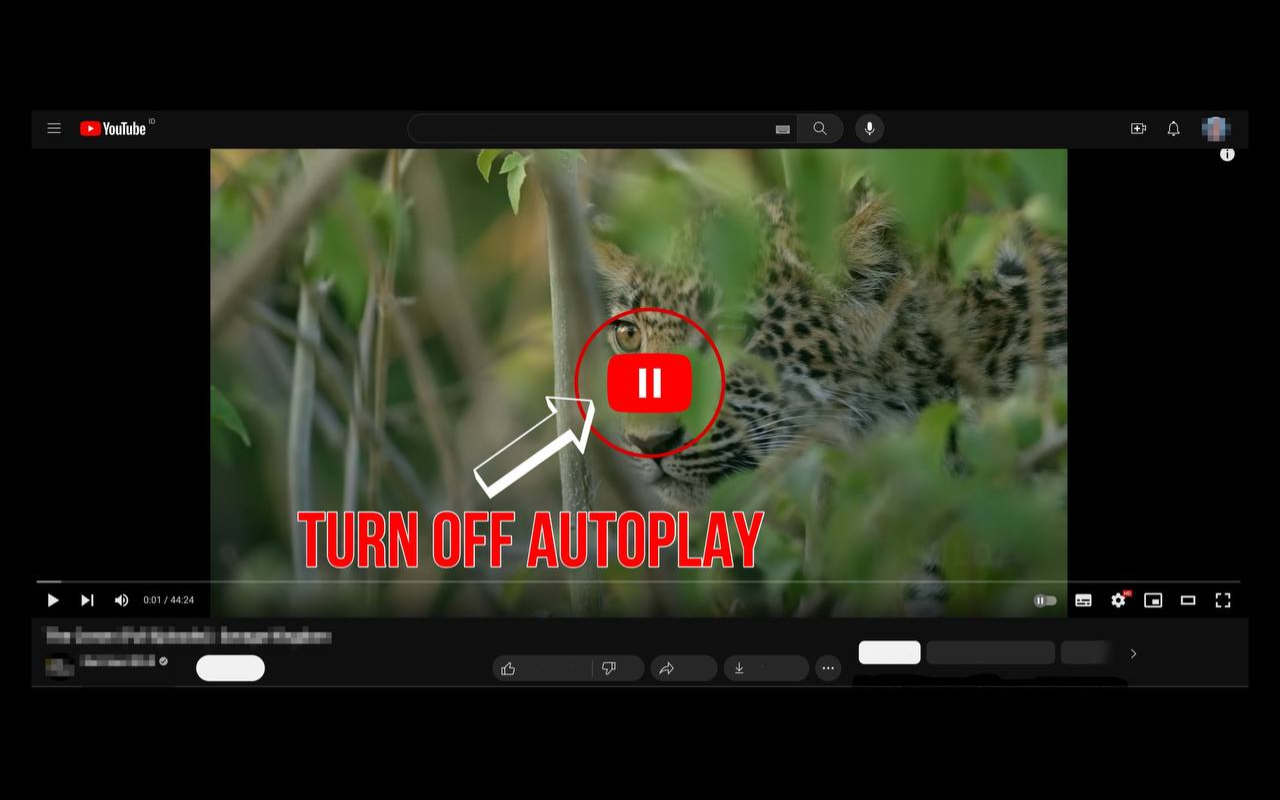 YouTube 关闭自动播放截图1