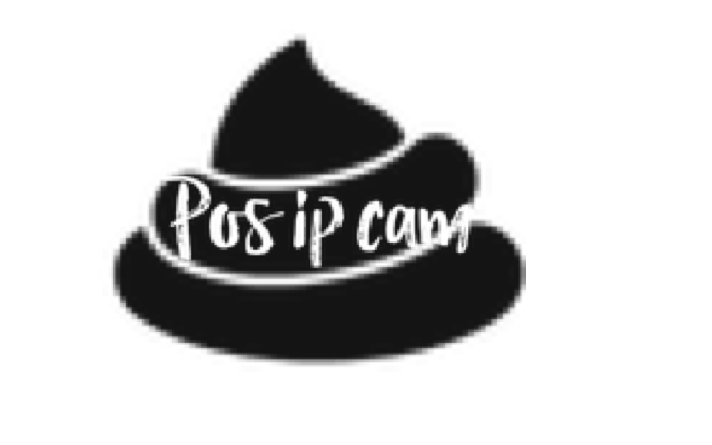 POS IP Camera截图1