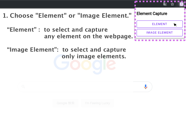 Element Capture截图1