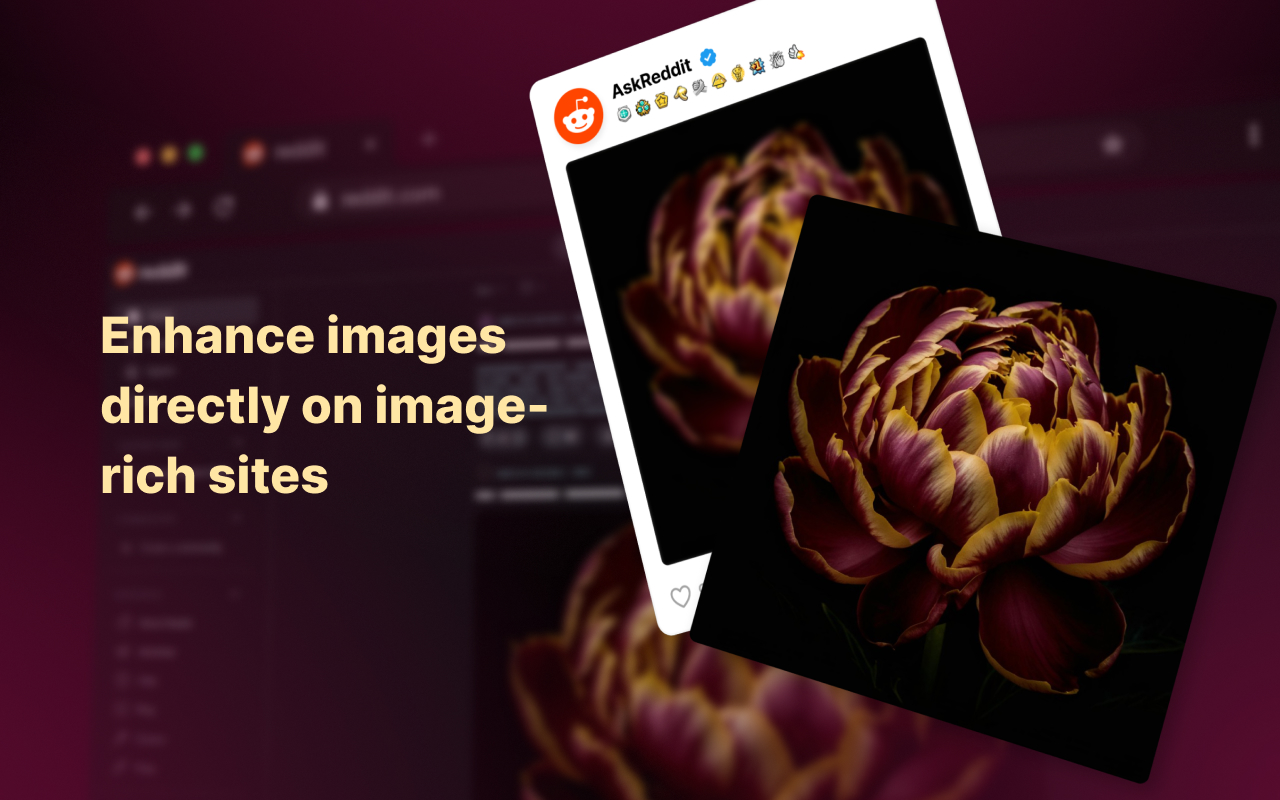 Enhanced Image Viewer截图1