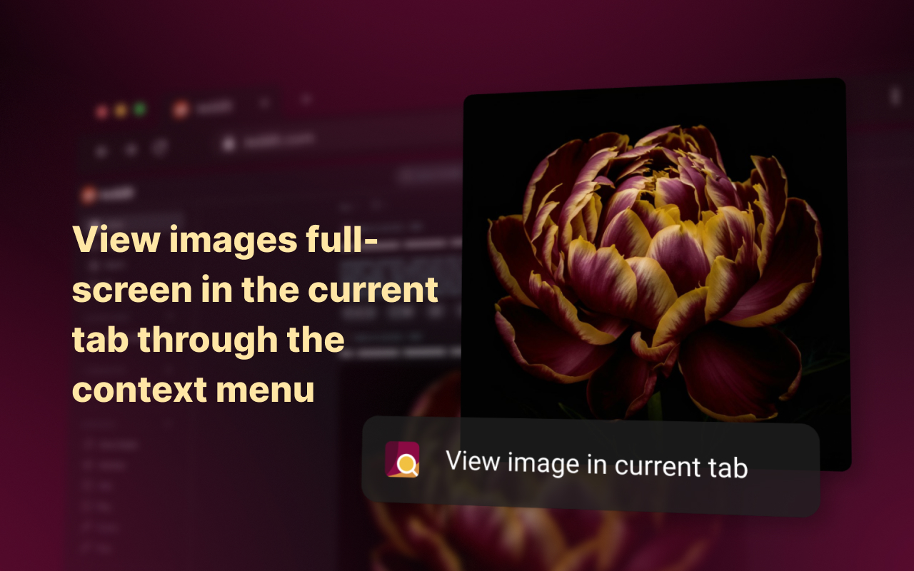 Enhanced Image Viewer截图3