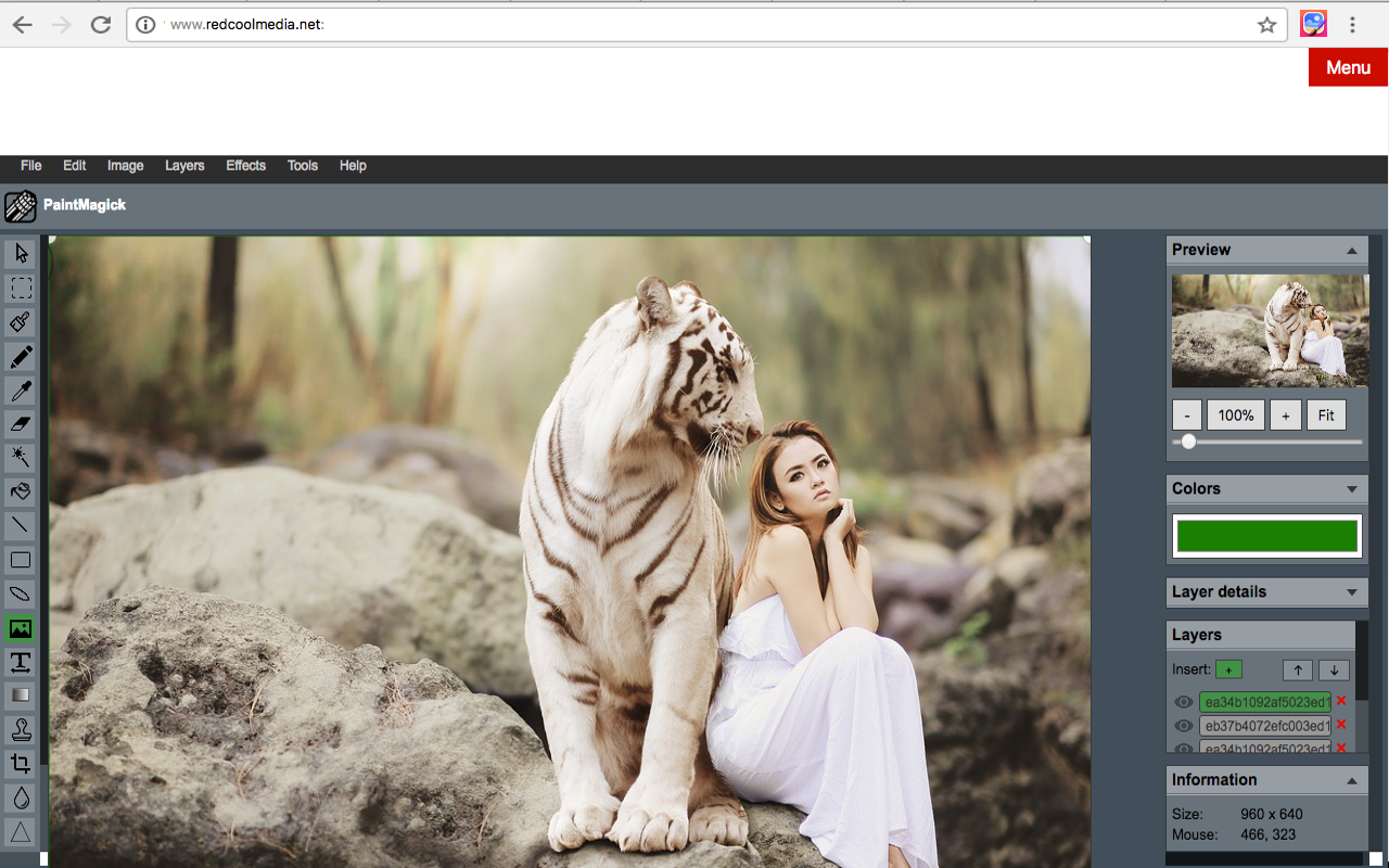 Image editor PaintMagick for photos截图2