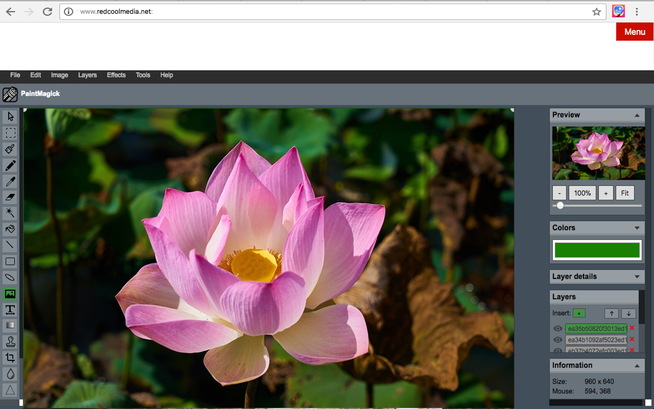 Image editor PaintMagick for photos截图3