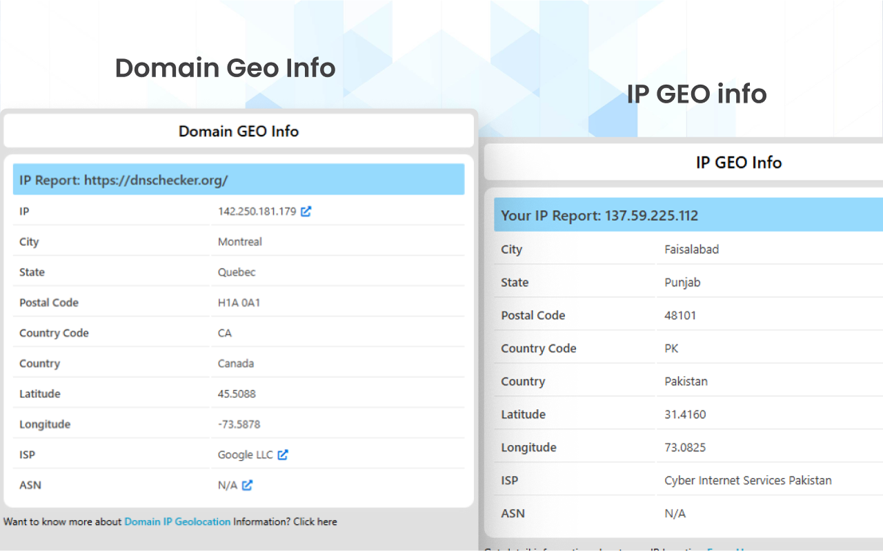 DNS Checker - SEO and Domain Analysis截图2