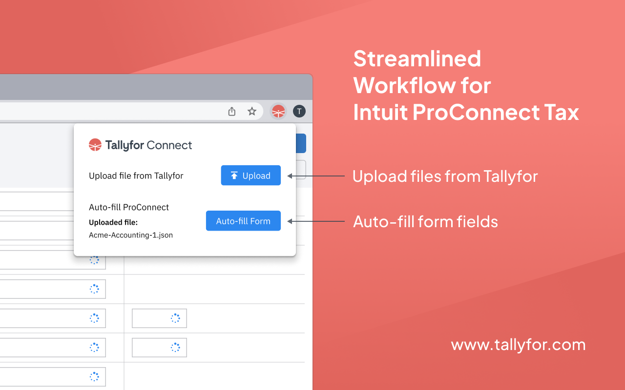 Tallyfor Connect: Auto-fill tax forms截图1