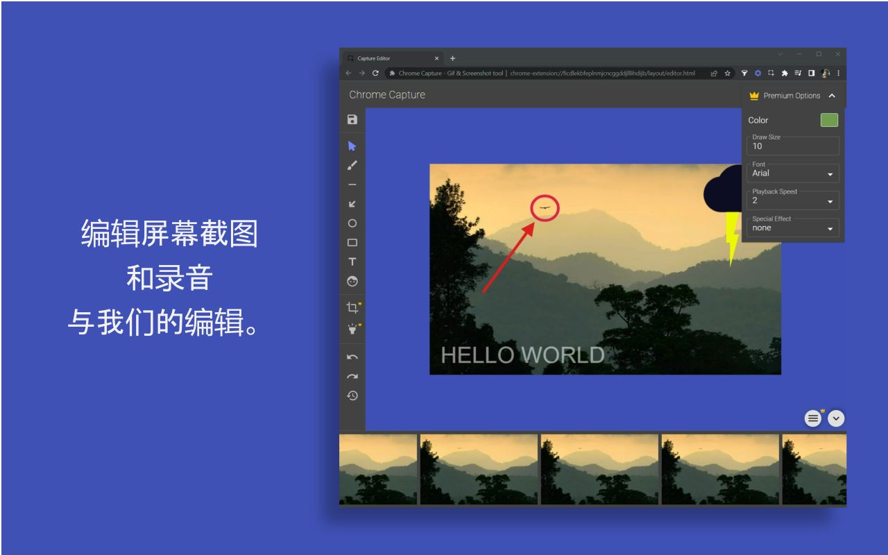 Chrome Capture - 截图 & GIF 工具截图1