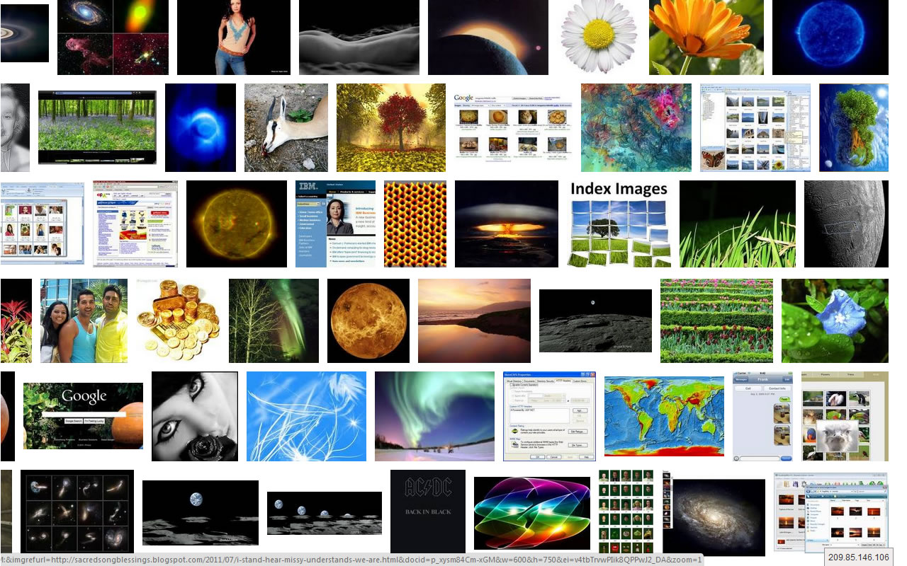 Website IP截图1