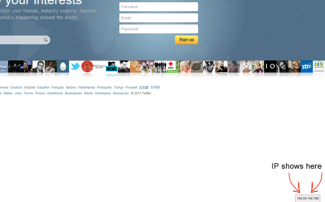 Website IP截图2