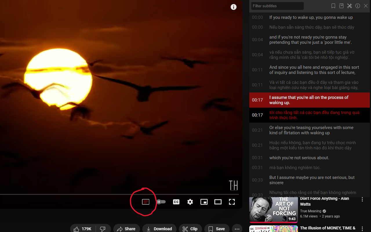 Seek Subtitles for YouTube截图3